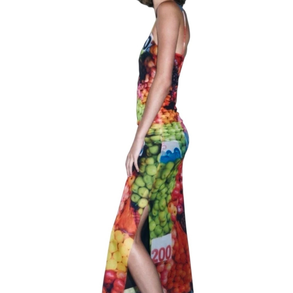 NWT Zara Fruit Stand Mesh Midi /Maxi Dress Size Small - Picture 3 of 12